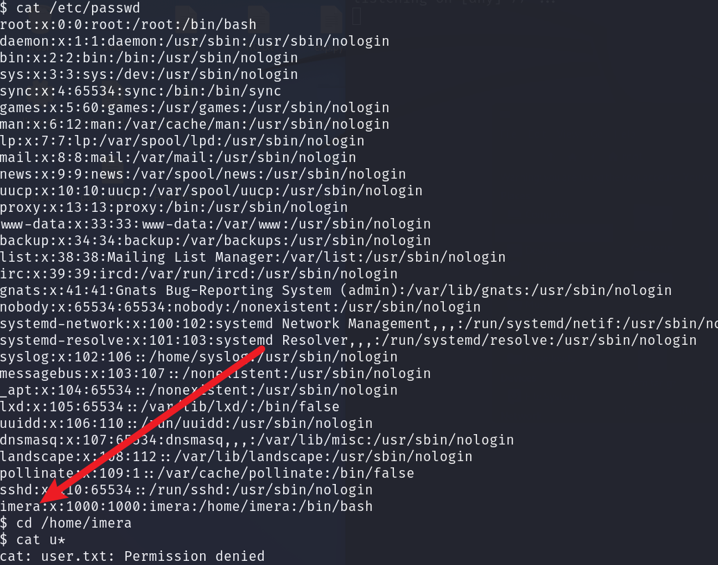 image-20250215153835346