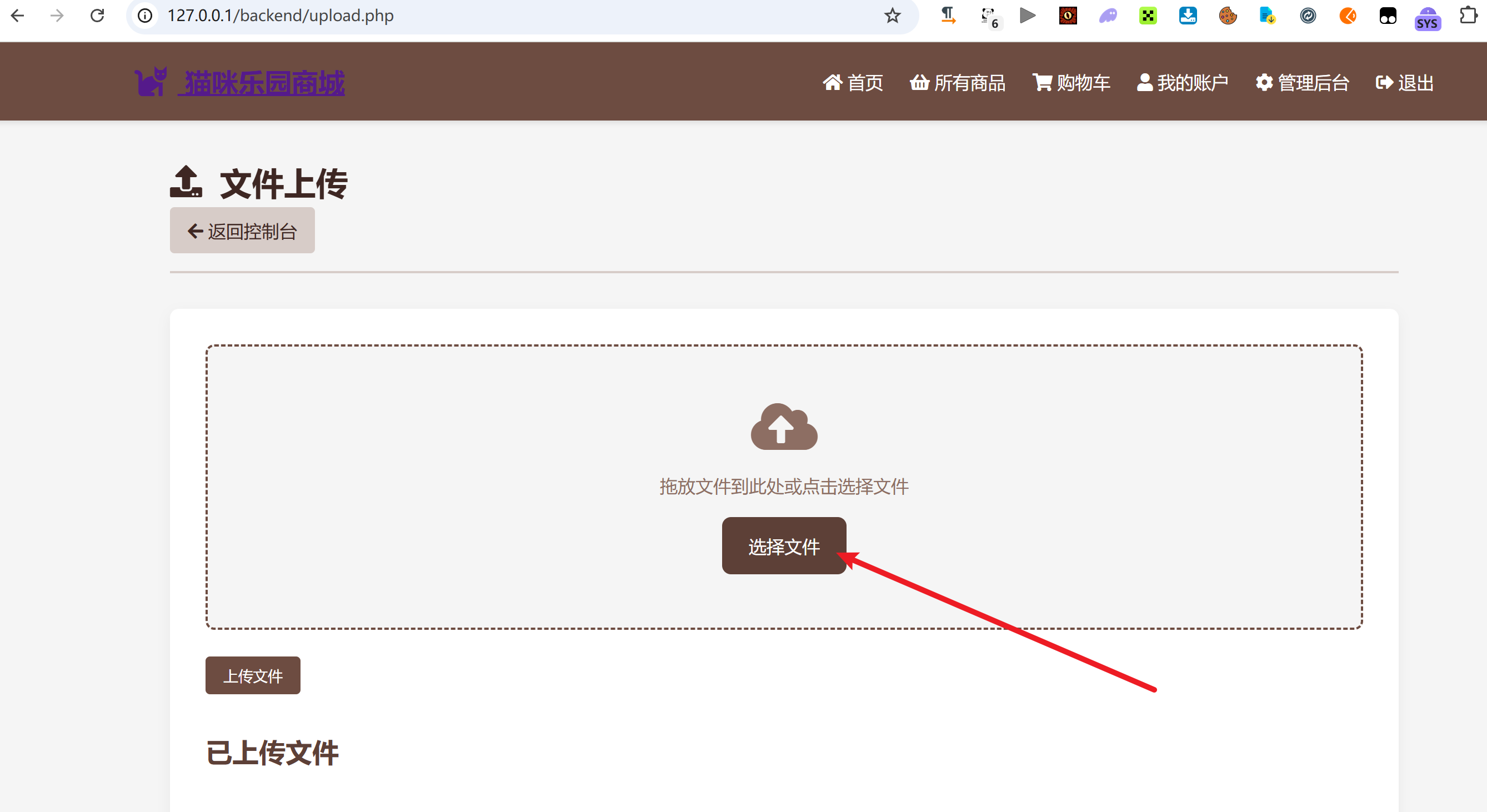 image-20251014090416719