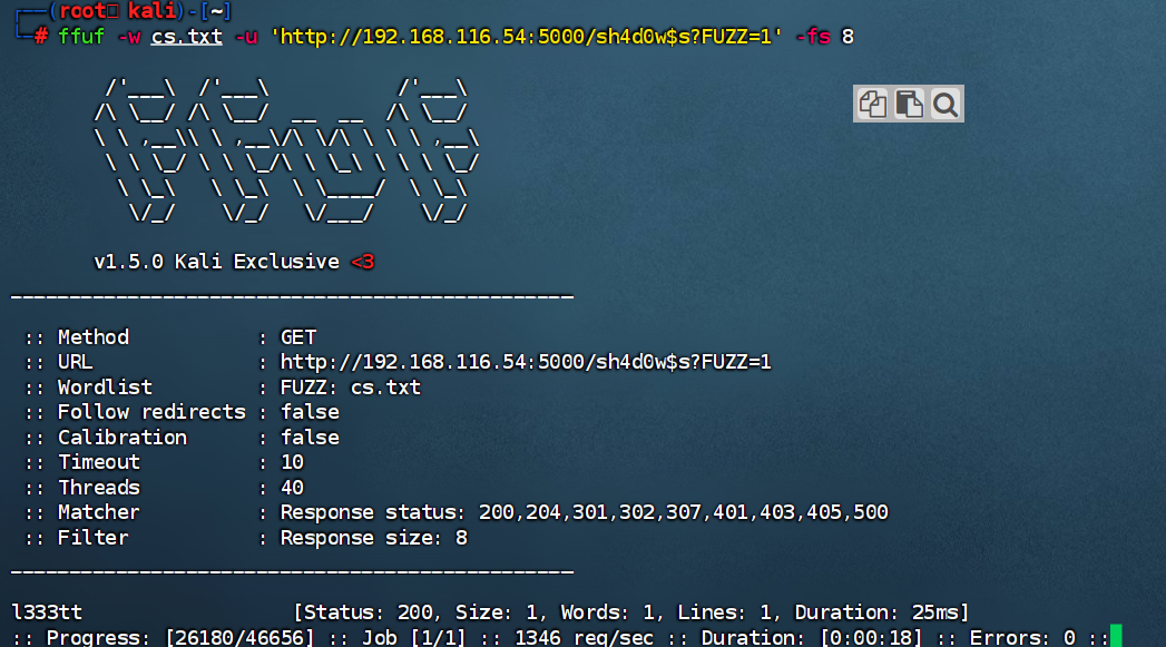 image-20250225113341590