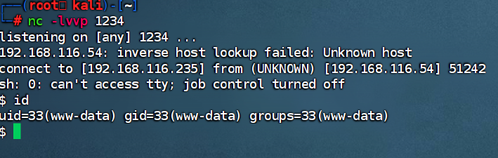 image-20250225113559208