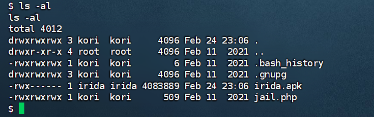 image-20250225120806161