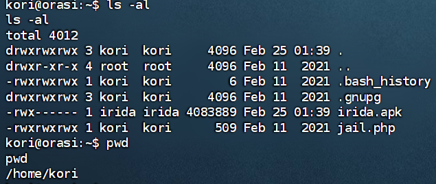 image-20250225144331872