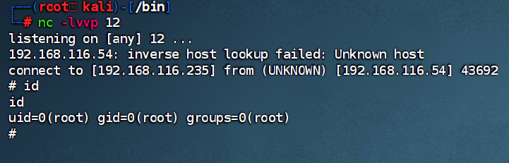 image-20250225155947427