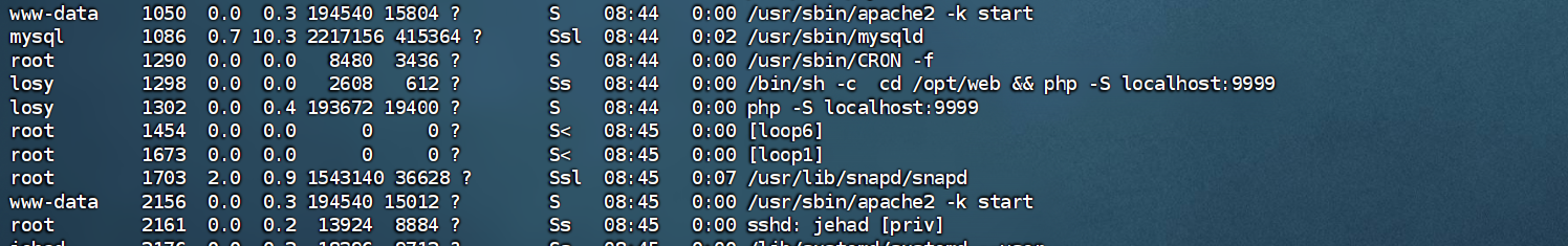 image-20250222165309492