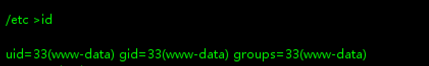 image-20250216174334131