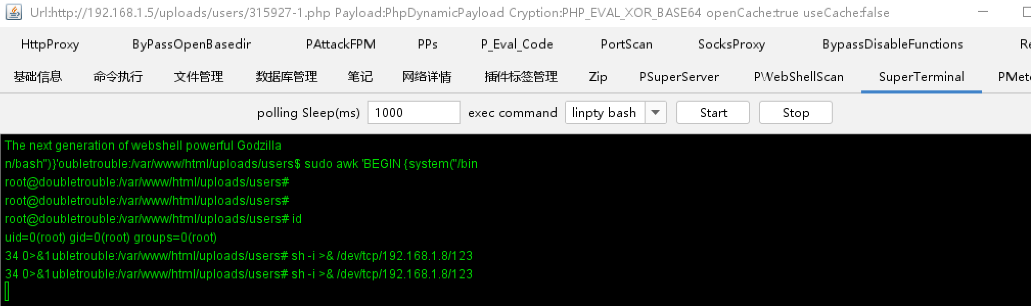 image-20250216174526676